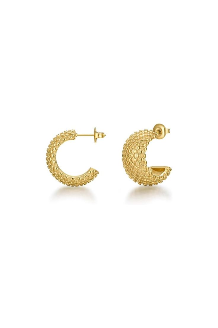 Golden  Embrace Earrings